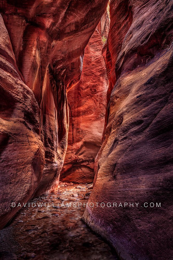 Kanarra Falls Utah NZ91573 Kanarra Falls Utah NZ91573