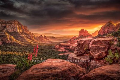 Into-the-Horizon_D859652