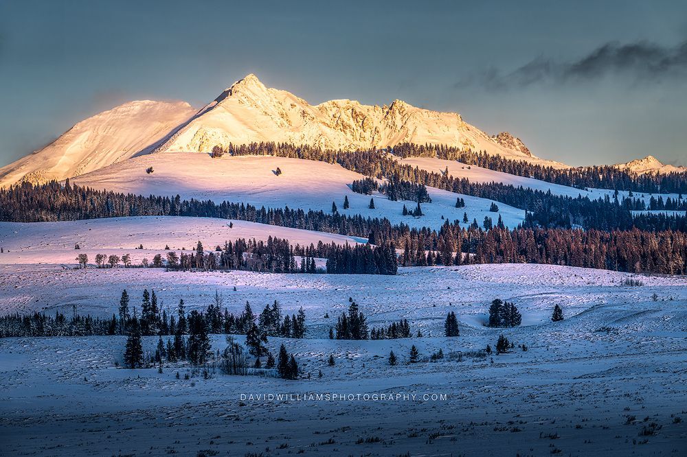 Yellowstone Winter NZ93407 Yellowstone Winter NZ93407