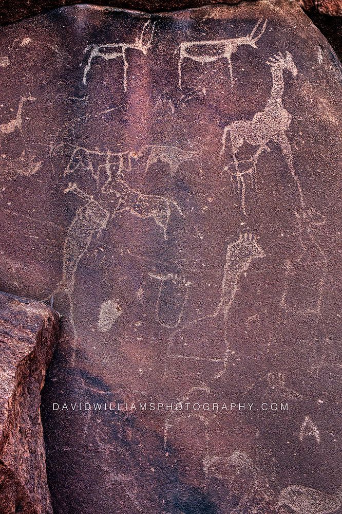 Rock Art Twyfelfontein 0z81933