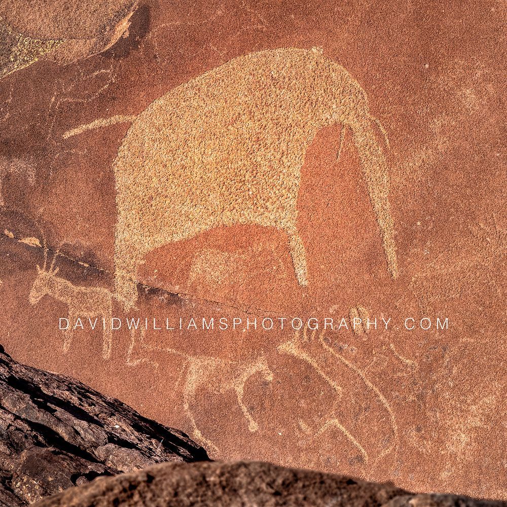 Rock Art Twyfelfontein 0Z81920EN