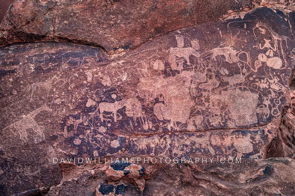Rock Art Twyfelfontein 0Z81895