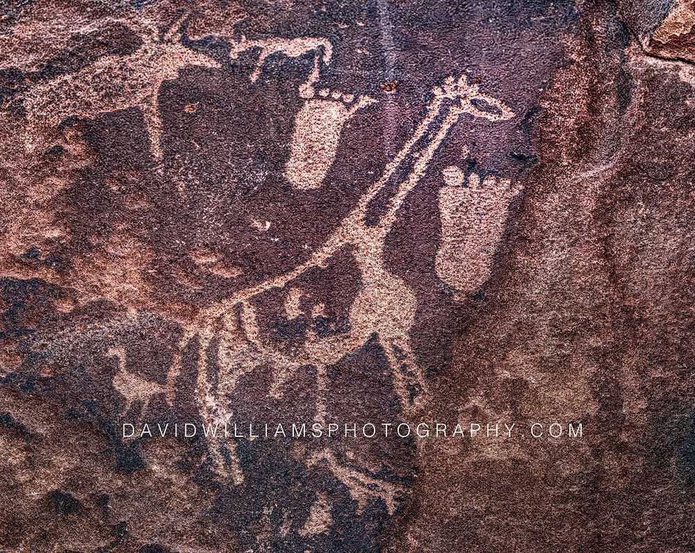 Rock Art Twyfelfontein 0Z81902