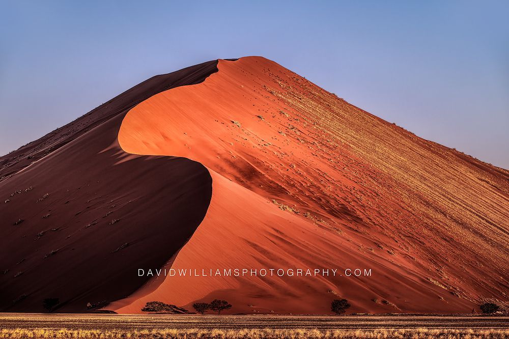 Dune 45 Sossusvlei Namibia 0Z83231 Dune 45 Sossusvlei Namibia 0Z83231