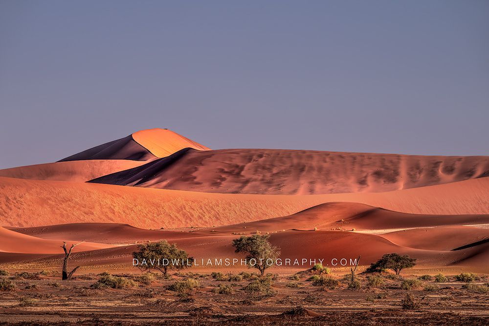 Namib Sand Dunes Namibia 0Z83333