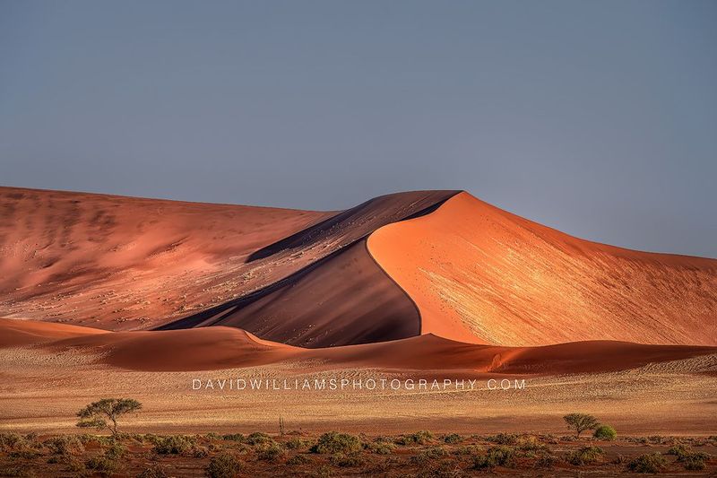 Namib Sand Dunes Namibia 0Z83331 Namib Sand Dunes Namibia 0Z83331