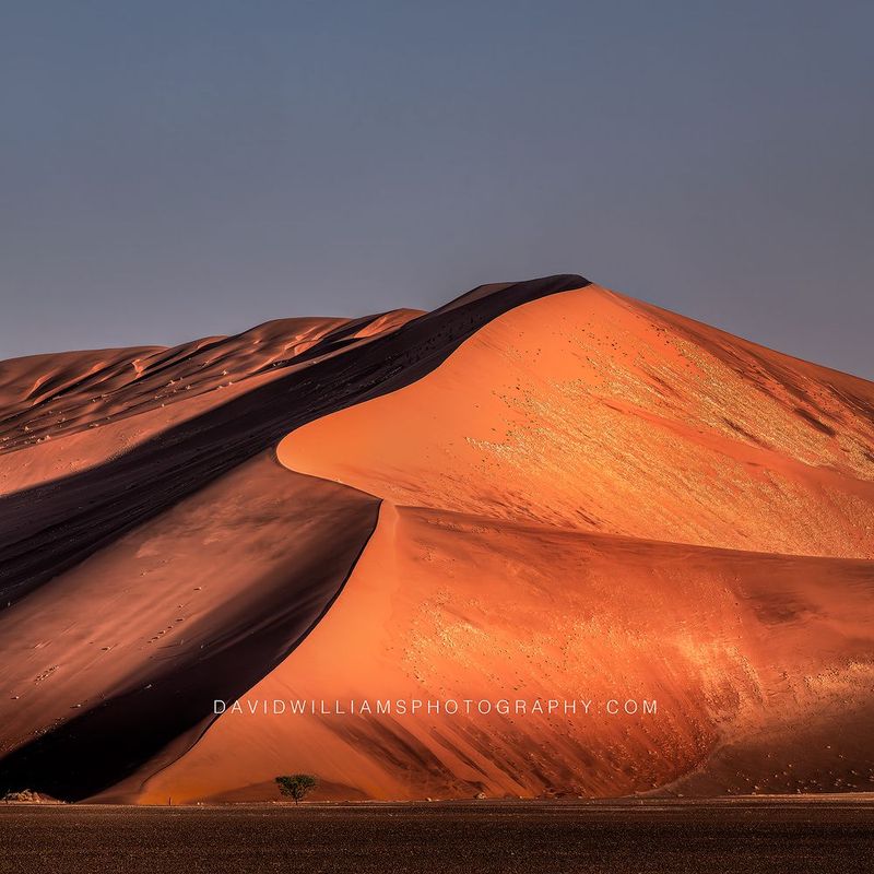 Namib Sand Dunes Namibia 0Z83341 Namib Sand Dunes Namibia 0Z83341