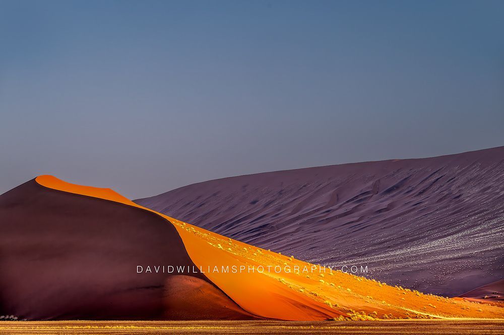 Namib Sand Dunes Namibia 0Z83356