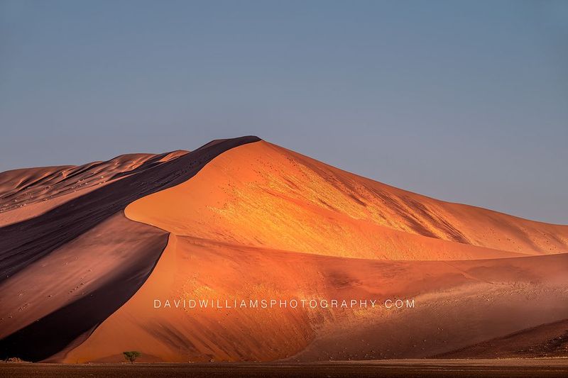 Namib Sand Dunes Namibia 0Z83343 Namib Sand Dunes Namibia 0Z83343