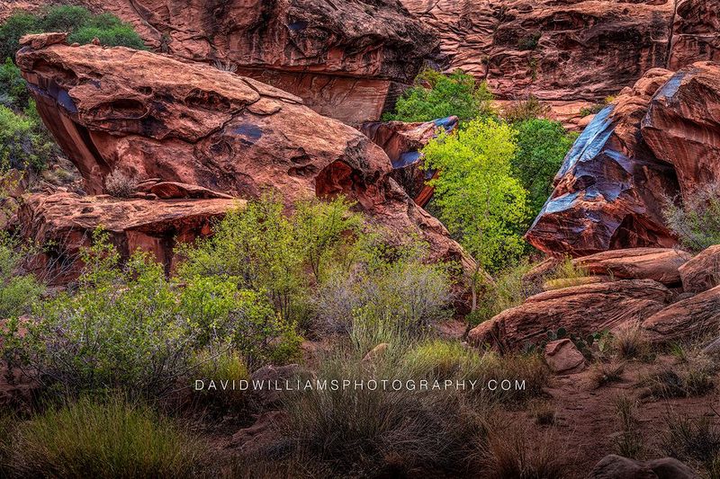 Moab Red Rocks NZ91626 Moab Red Rocks NZ91626