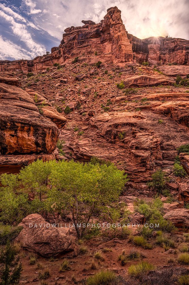 Moab Red Rock Sunrise NZ91620 Moab Red Rock Sunrise NZ91620