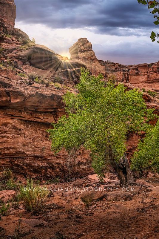 Moab Red Rock Sunrise NZ91614 Moab Red Rock Sunrise NZ91614