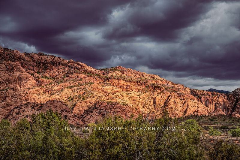 Moab Sunny Storm NZ91653 Moab Sunny Storm NZ91653