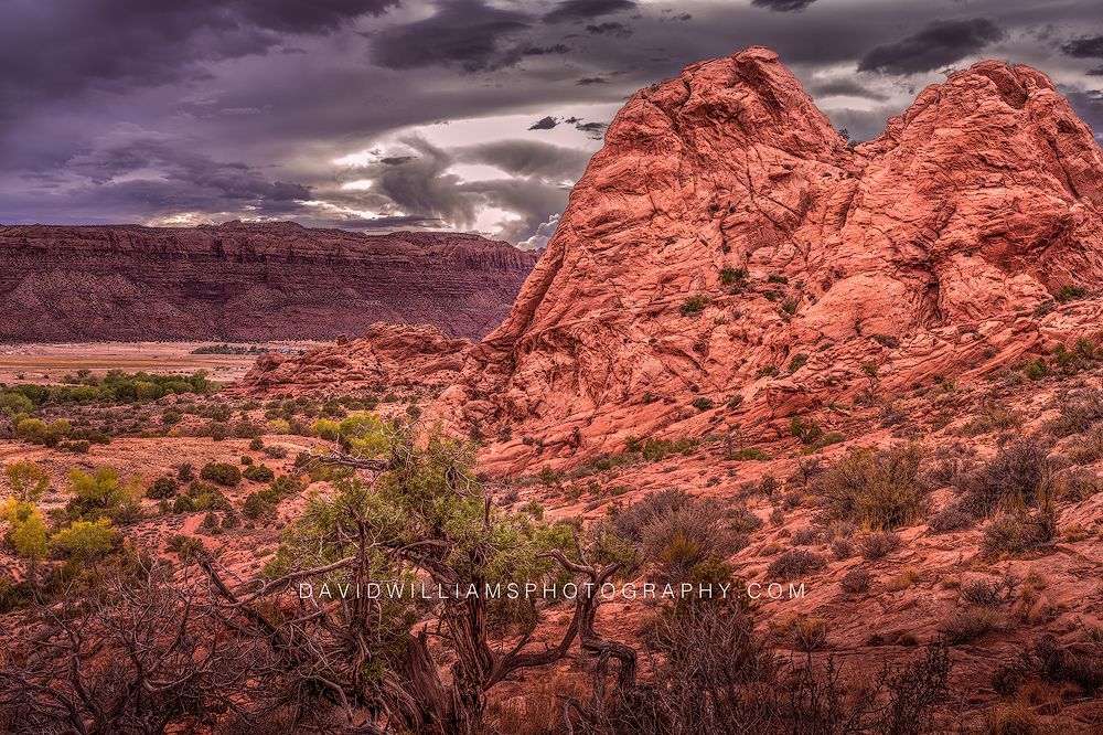 Moab Red Rock NZ91687 Moab Red Rock NZ91687