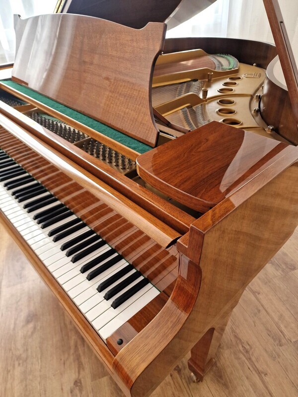 Flügel Steinway & Sons M-170, nussbaum poliert Flügel Steinway & Sons M-170, nussbaum poliert