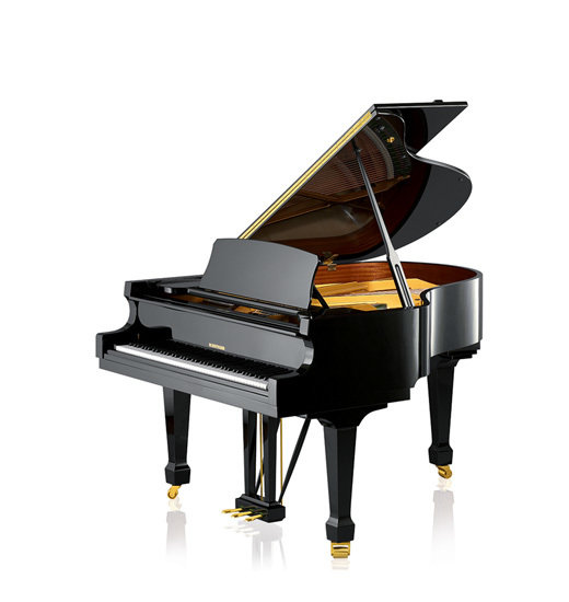 W. Hoffmannn, Modell T-161, made by C. Bechstein Europe inkl. Selbstspielsystem W. Hoffmannn, Modell T-161, made by C. Bechstein Europe inkl. Selbstspielsystem