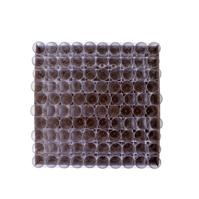 DrosoKING® Drosophila Vials Combo, Material: PS (vials), 100 Vials/Tray, 5 Trays/Case
