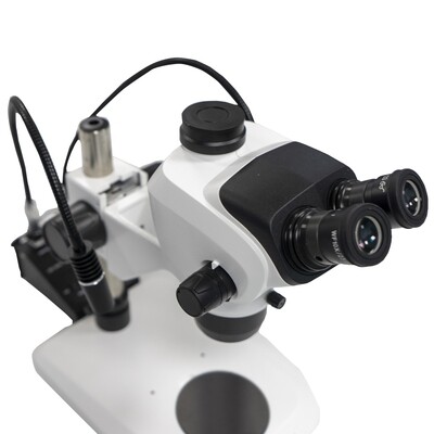 Trinocular Microscope, Eyepiece 10X/23mm(adjustable viewing), With external double goose tube light source, 1 Piece/Case