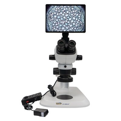 Trinocular Microscope, Eyepiece 10X/23mm, With Four-zone Control Ring, 1 Piece/Case