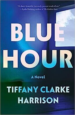 Blue Hour: A Novel