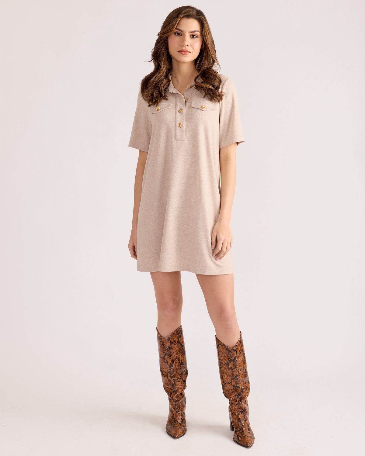 Hartford Dress in Beige