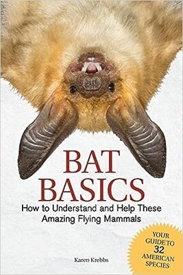 Bat Basics