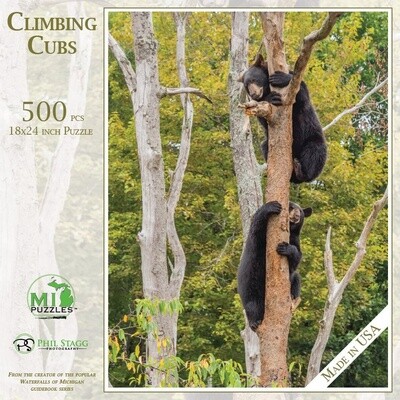 Climbing Cubs Puzzle