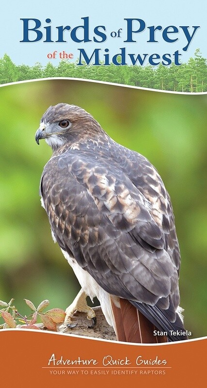 Birds of Prey of the Midwest