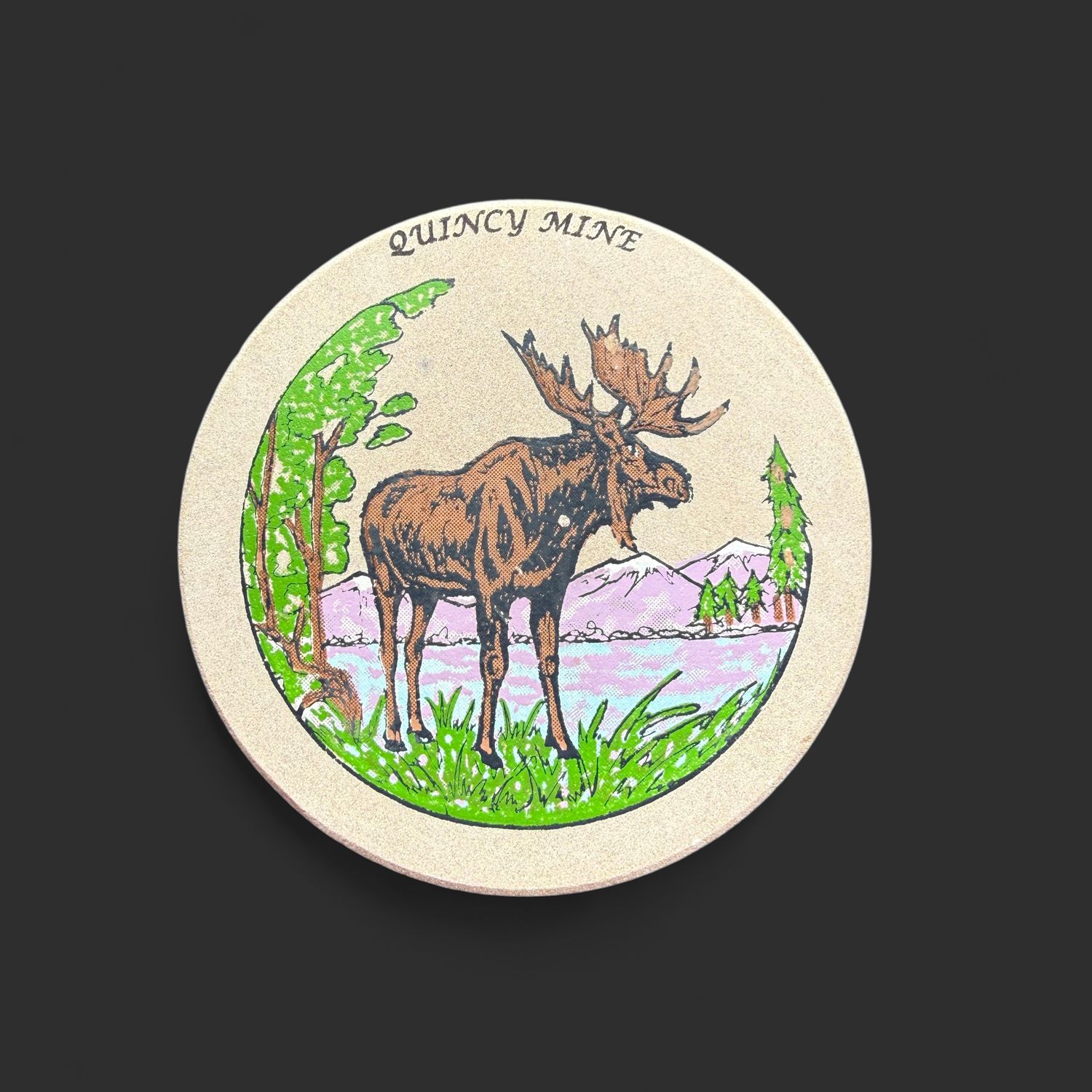 Coaster Moose