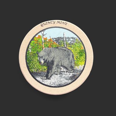 Coaster Black Bear Walking