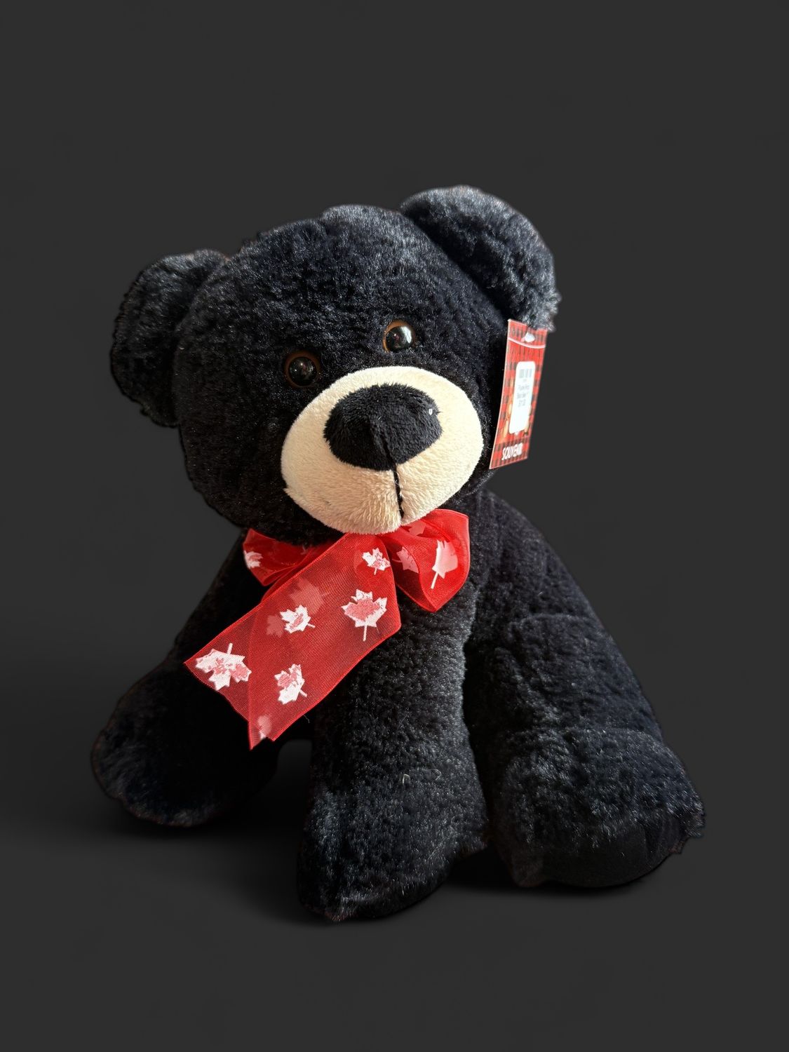 Bingo Black Bear Plushie 11"