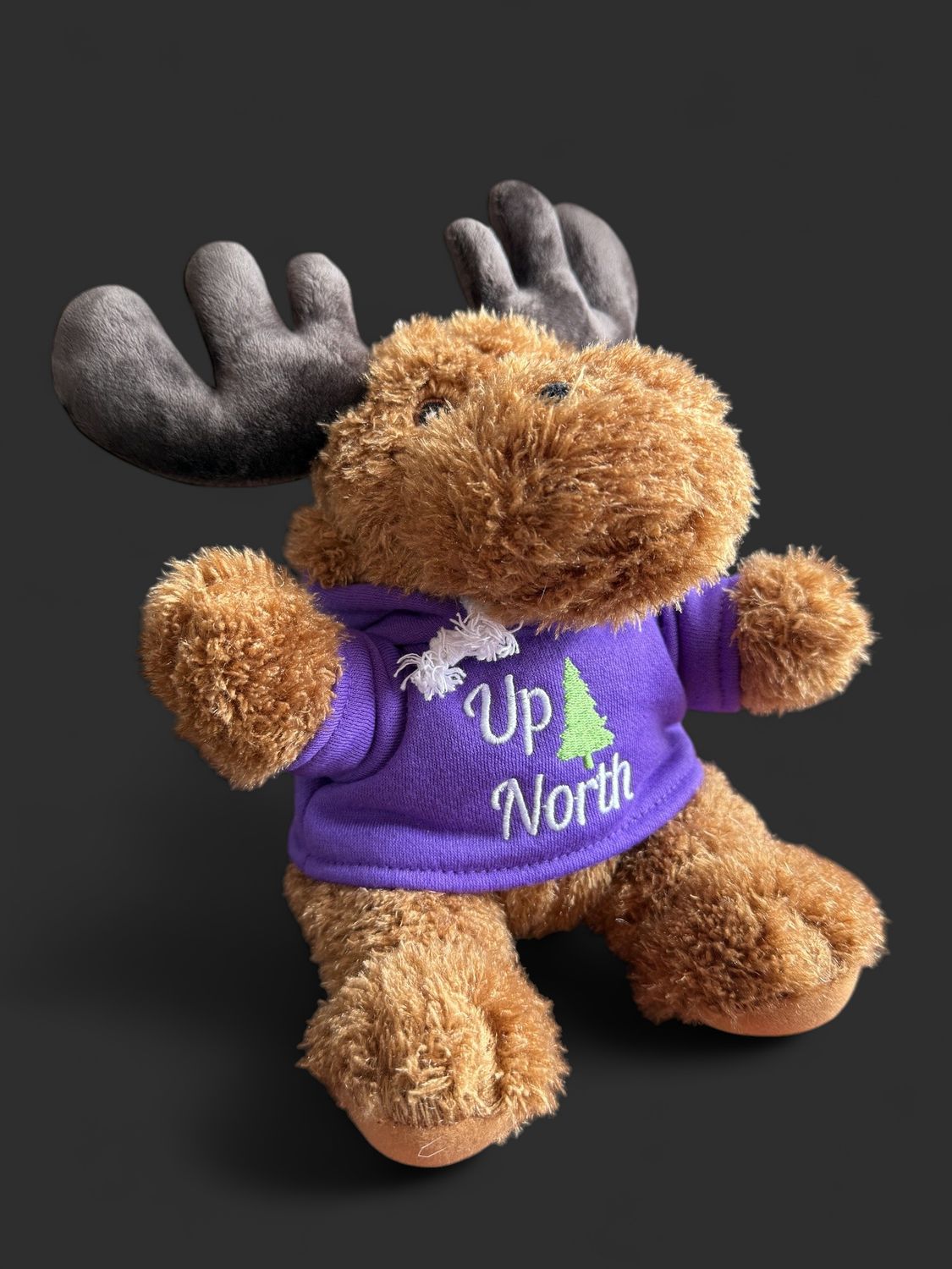 Moose Up North Hoodie Plushie