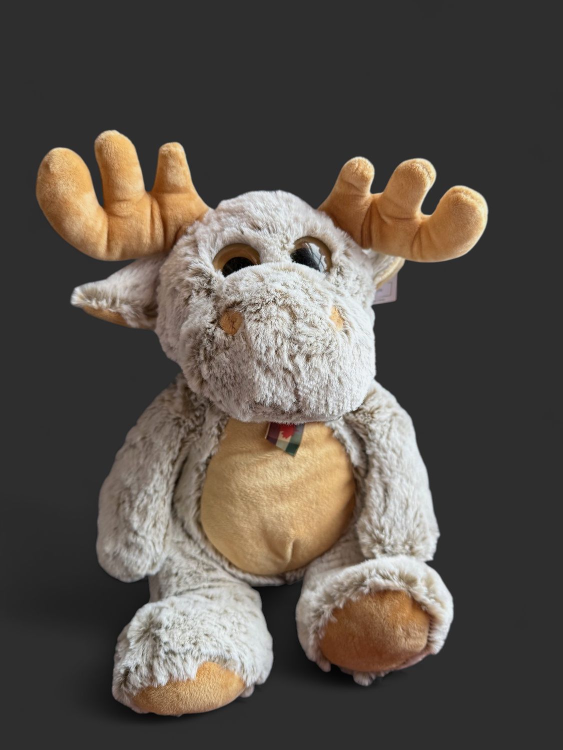 Big Eye Morrison Moose Plushie 12"