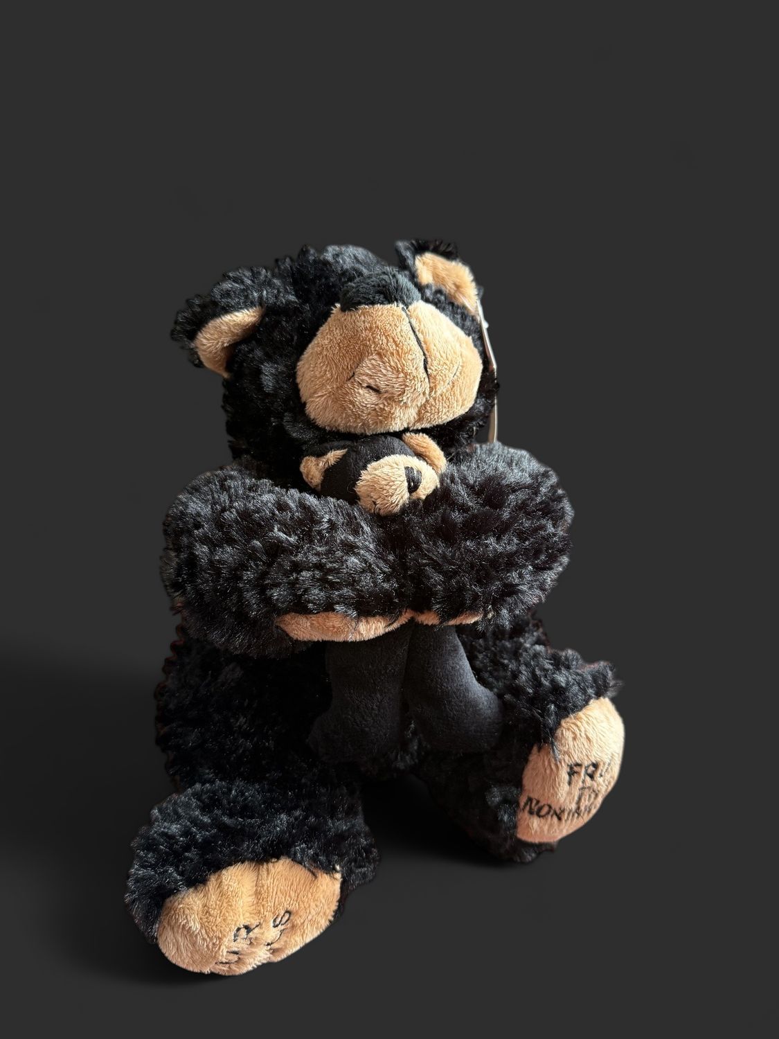 Black Bear & Baby Hugs Plushie 9"