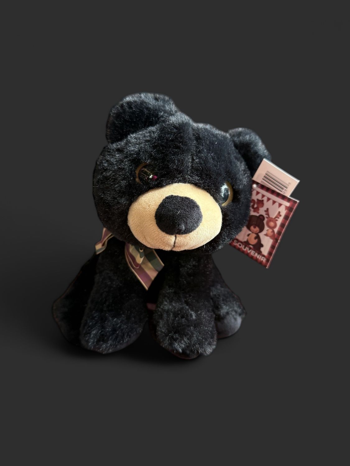 Big Eye Black Bear Plushie 8"