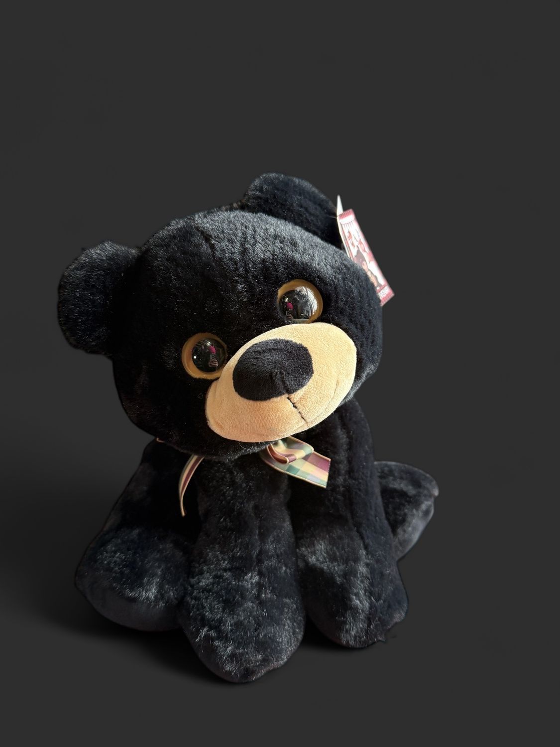 Big Eye Black Bear Plushie 12"