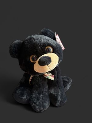 Big Eye Black Bear Plushie 12"