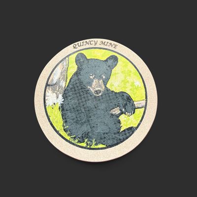 Coaster Black Bear in Tree / Quincy Mine