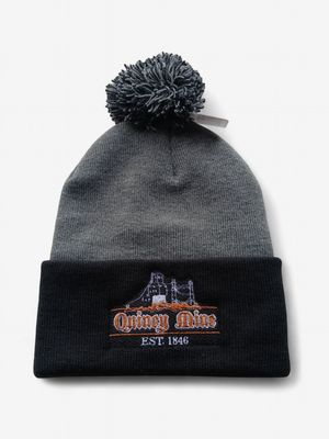 Old Reliable 2 Hat / Beanie