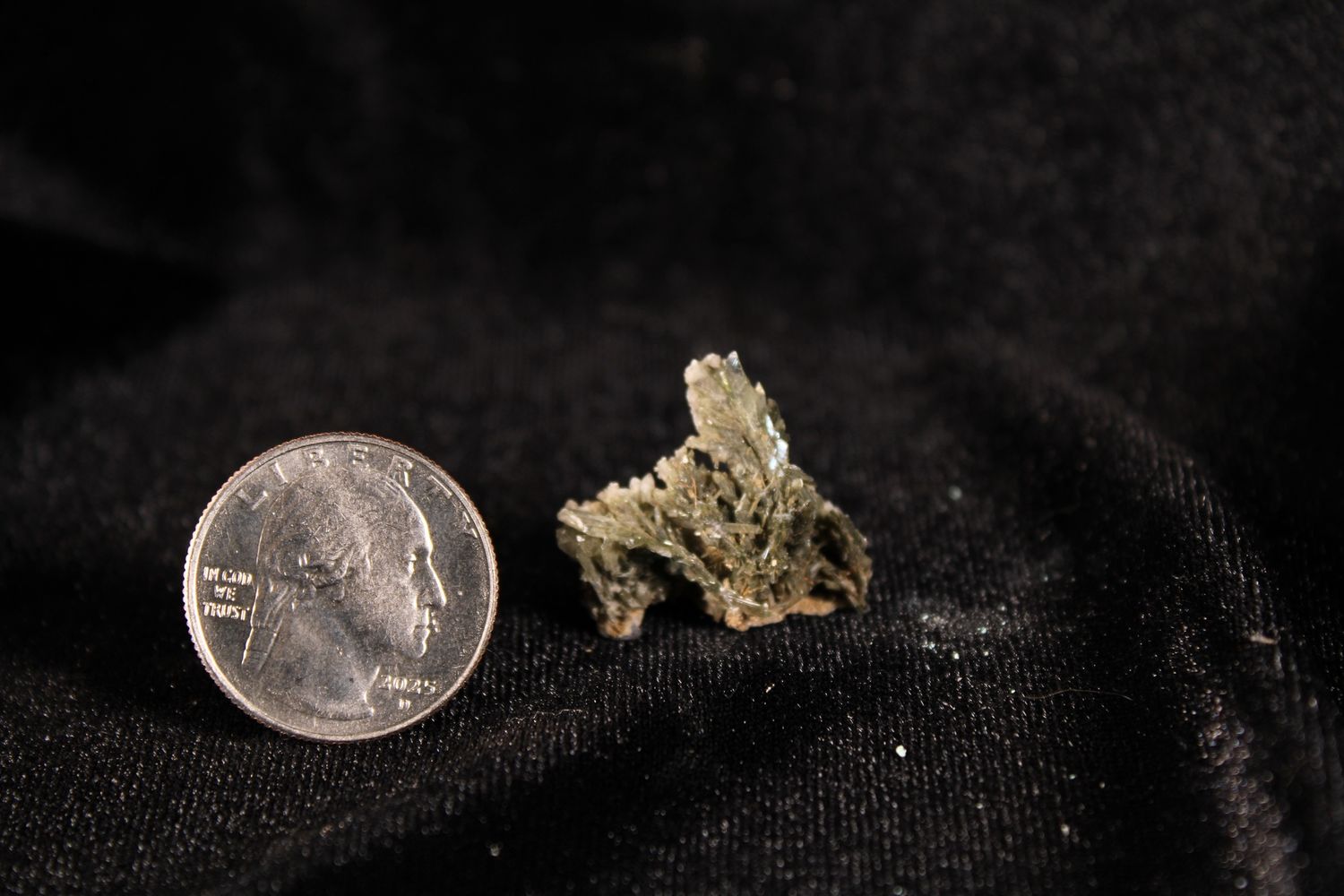 Feather Selenite Flats, Size: 54 ct.