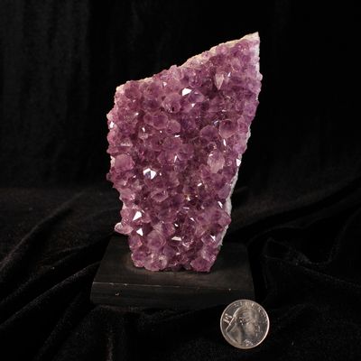 Amethyst Wood Base 1 lb