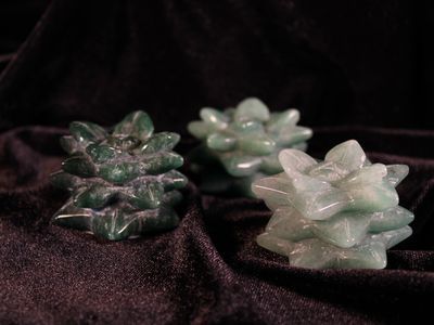 Aventurine Succulents