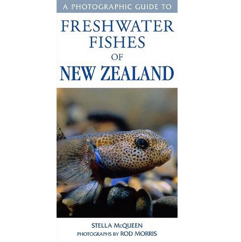 A Photographic Guide to Freshwater Fishes of New Zealand