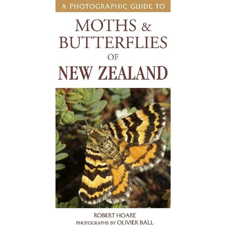 A Photographic Guide to Moths and Butterflies of New Zealand