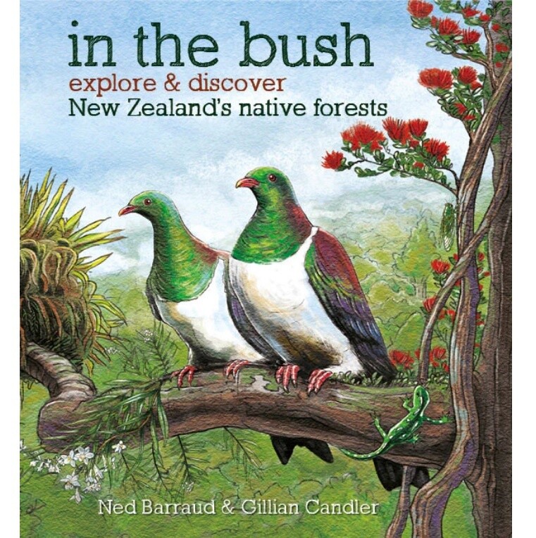 In the Bush: Explore &amp; Discover New Zealand's Native Forests