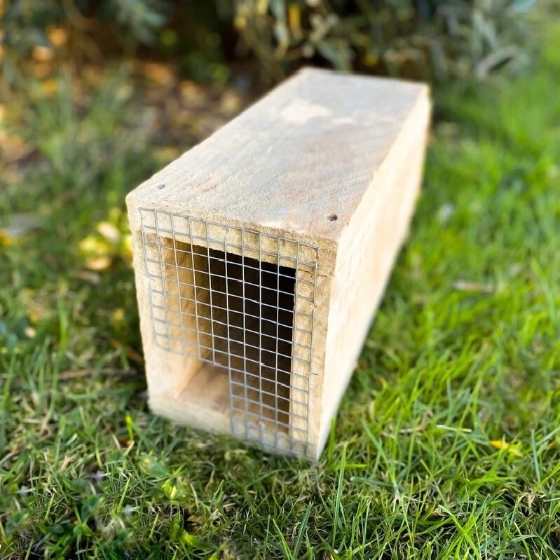 Wooden Tunnel With Rat &amp; Mouse Traps