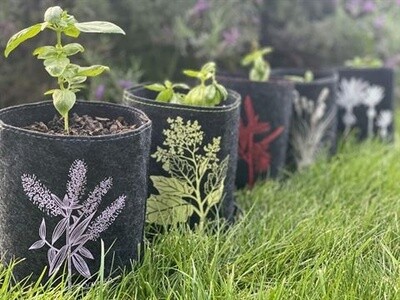 Ecofelt Grow Bag