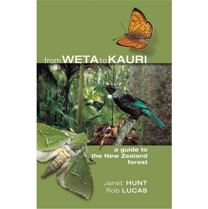 From Wētā To Kauri: A Guide To The New Zealand Forest