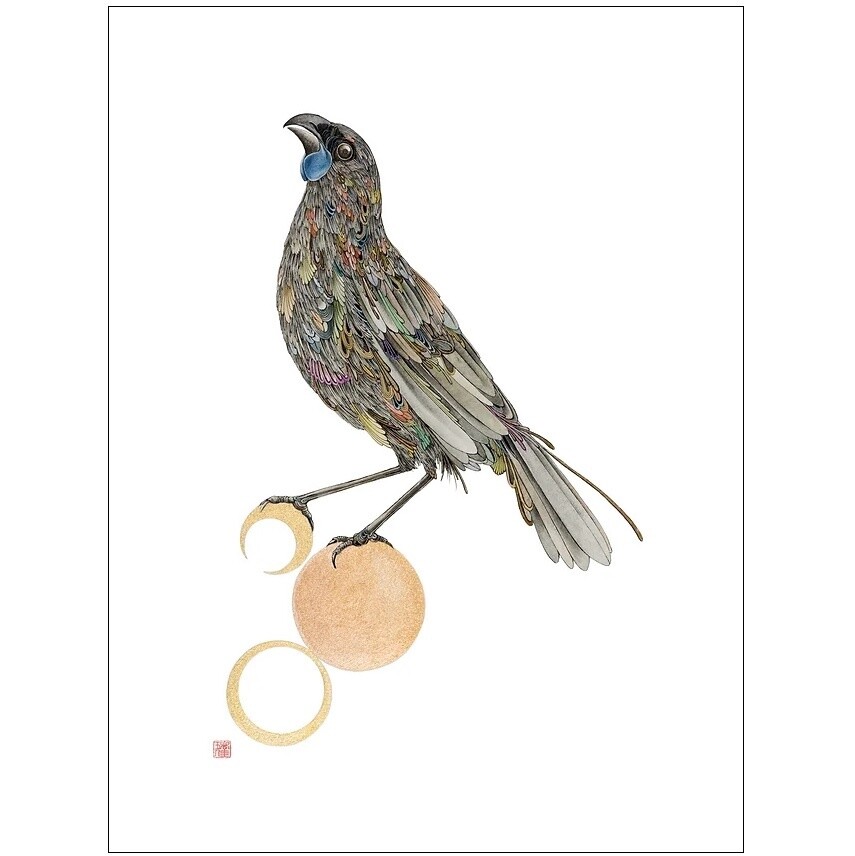 Rika Nagahata Unframed Prints, Bird: Tsukinowa (Kōkako)