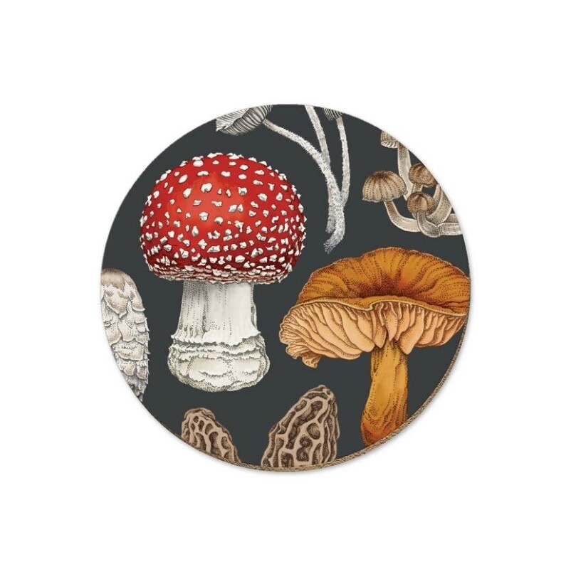 Native Fungi Coasters, Design: Morchella